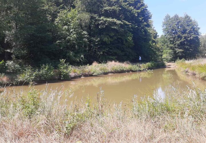 Plac 7.000 m² sa ribnjakom i šumom – Vilusi, Banja Luka, Banja Luka