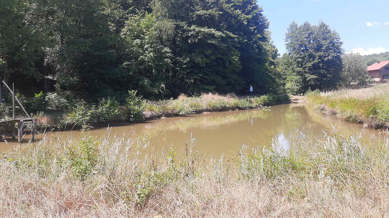 Plac 7.000 m² sa ribnjakom i šumom – Vilusi, Banja Luka, Banja Luka