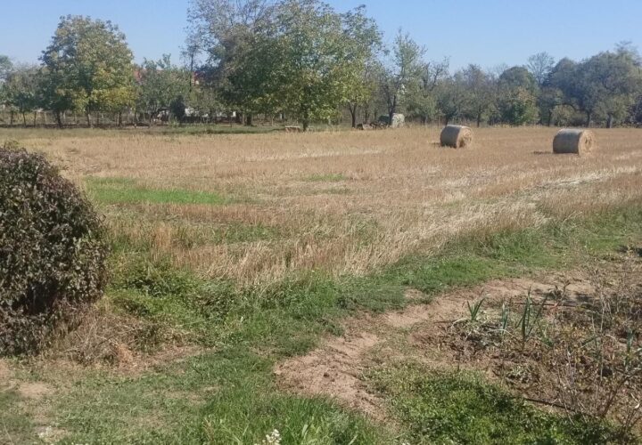 Plac 4.000 m² sa kompletnom infrastrukturom – Veliko Blaško, Laktaši, Laktaši
