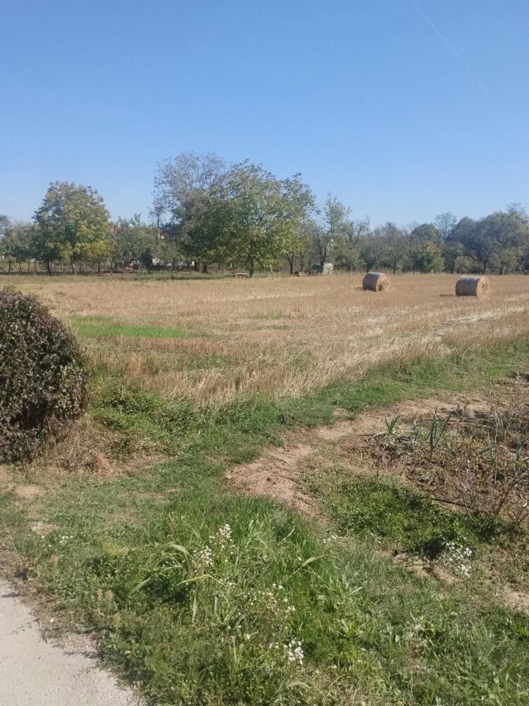 Plac 4.000 m² sa kompletnom infrastrukturom – Veliko Blaško, Laktaši, Laktaši