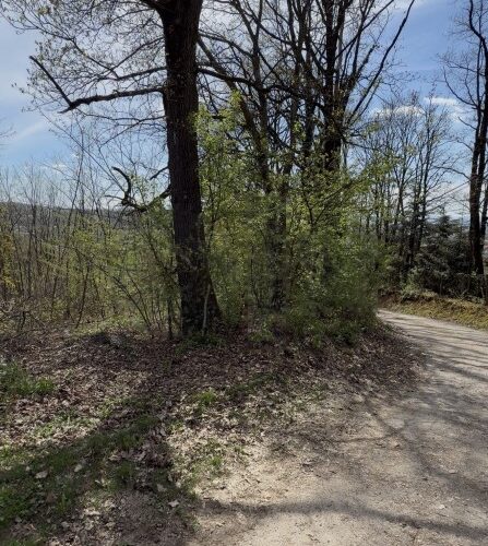 Plac 1.221 m² uz asfaltni put, okružen šumom – Glamočani, Laktaši, Laktaši