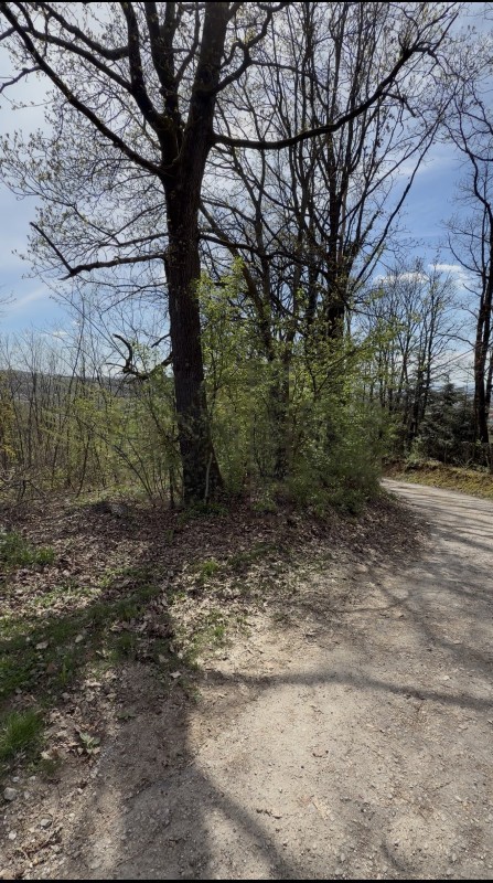 Plac 1.221 m² uz asfaltni put, okružen šumom – Glamočani, Laktaši, Laktaši